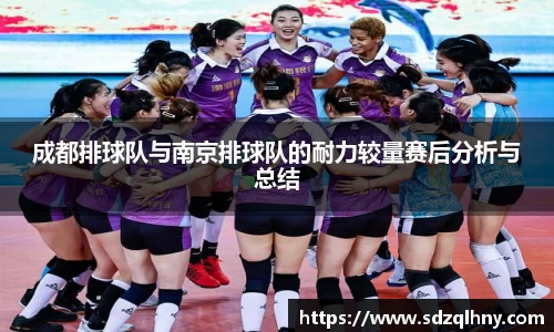 成都排球队与南京排球队的耐力较量赛后分析与总结